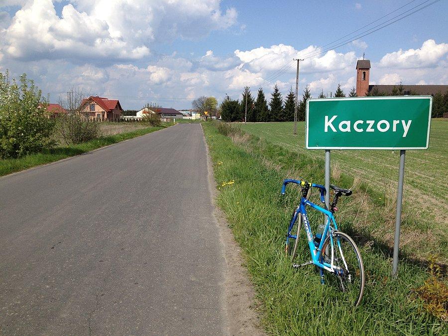 Kaczory - tu produkują papier toaletowy