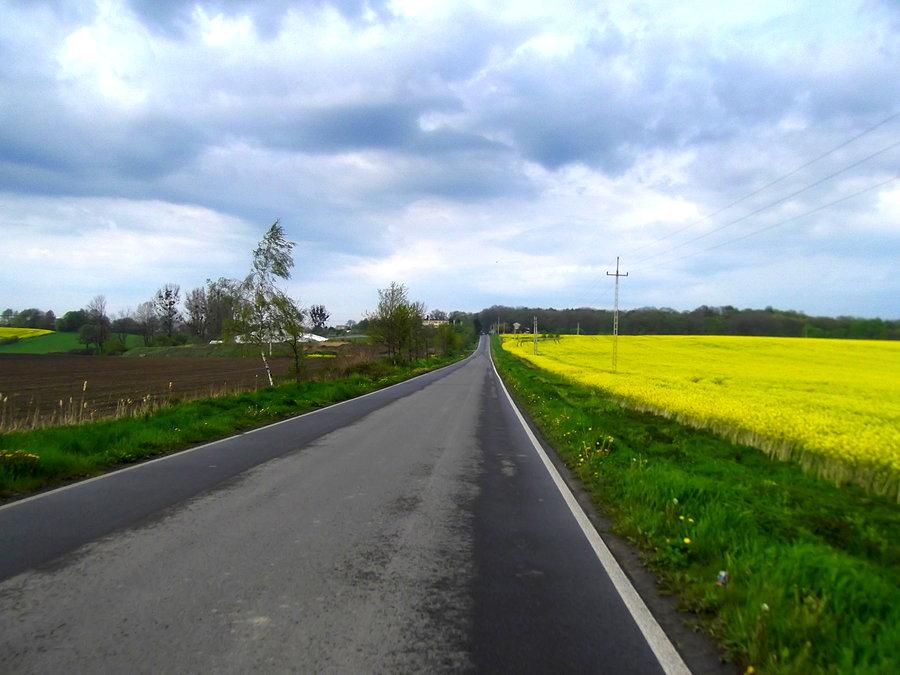 Okolice Kokoszyc. Raz mokro, raz sucho