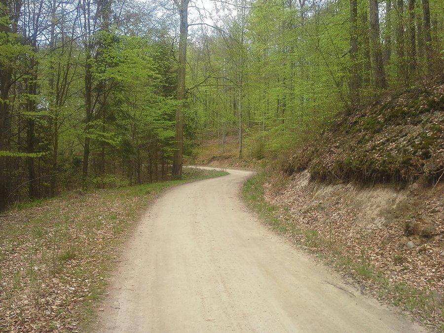 Wracając do domu