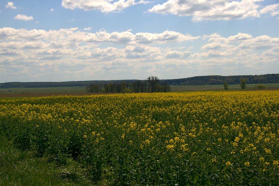 Przydrożne krajobrazy