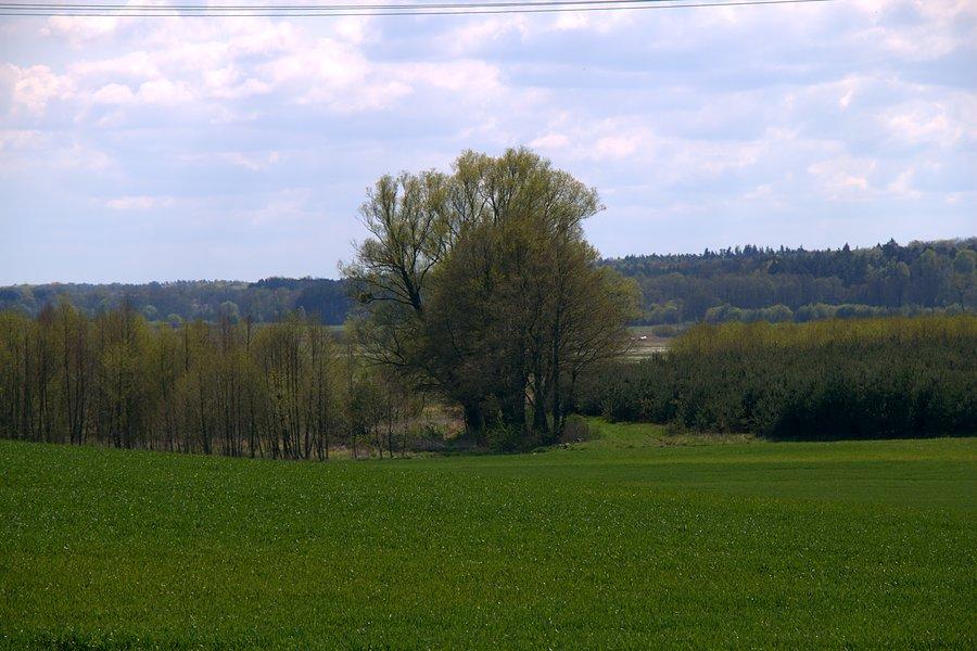 Przydrożne krajobrazy