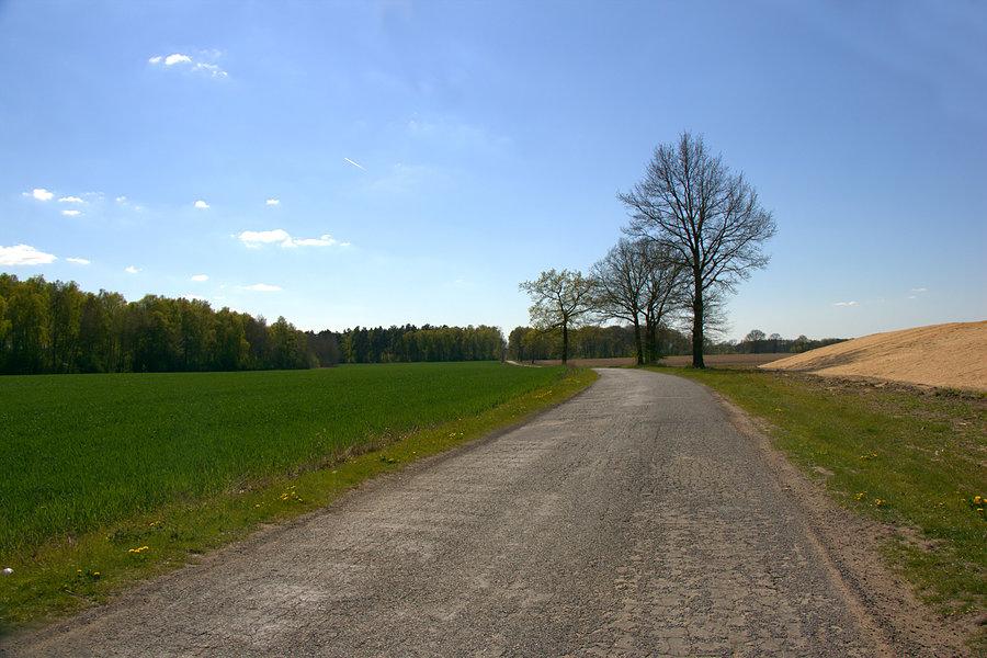 W drodze do Pęzina