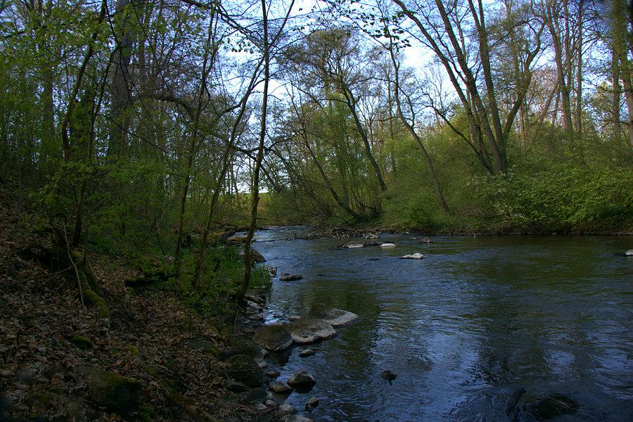 W Dolinie Krąpieli