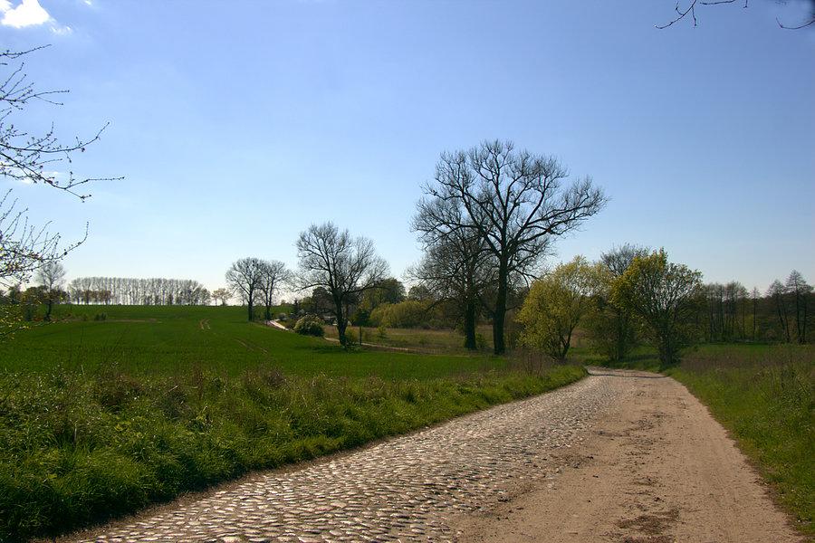 W drodze z Ulikowa do Stargardu