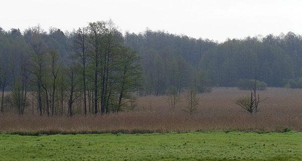 Widok z wieży widokowej