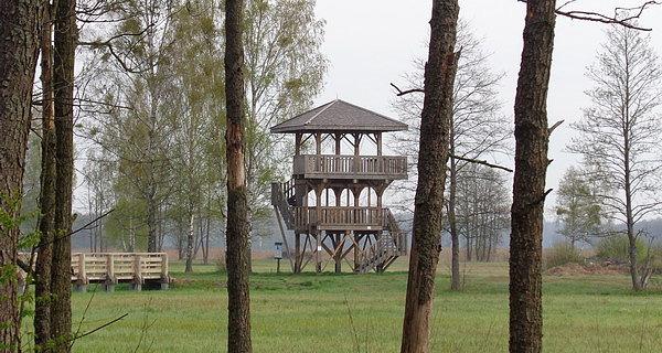 Wieża widokowa