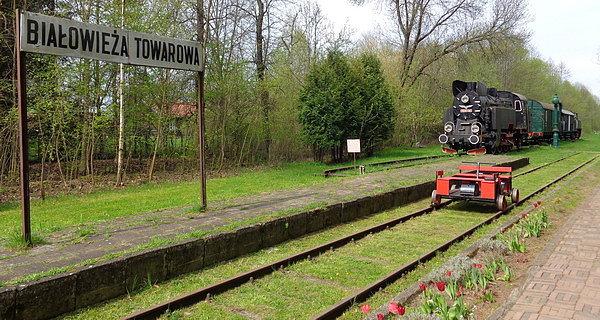 Białowieża Towarowa