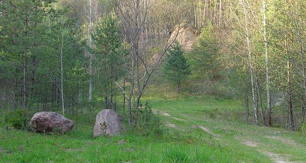 Stara żwirownia w Białowieży