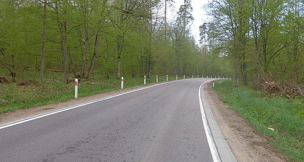 Z Białowieży do Hajnówki