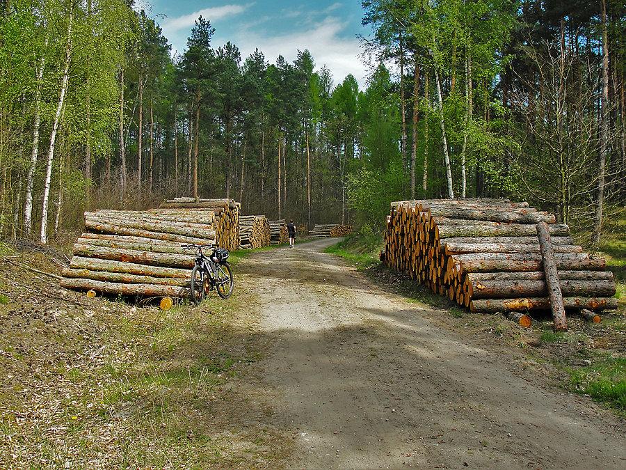 Rowerek - Tczew i jego okolice
