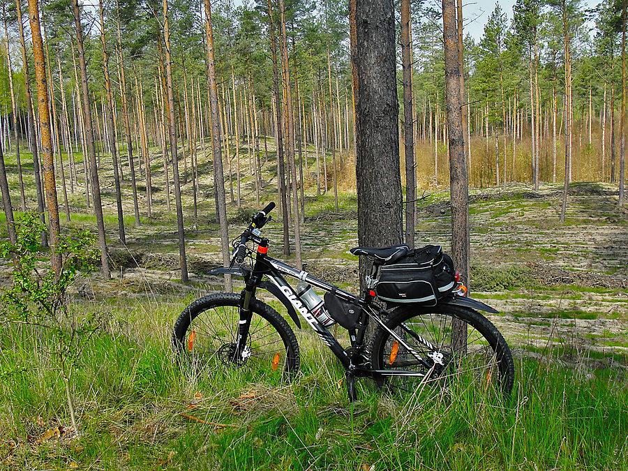 Rowerek - Tczew i jego okolice