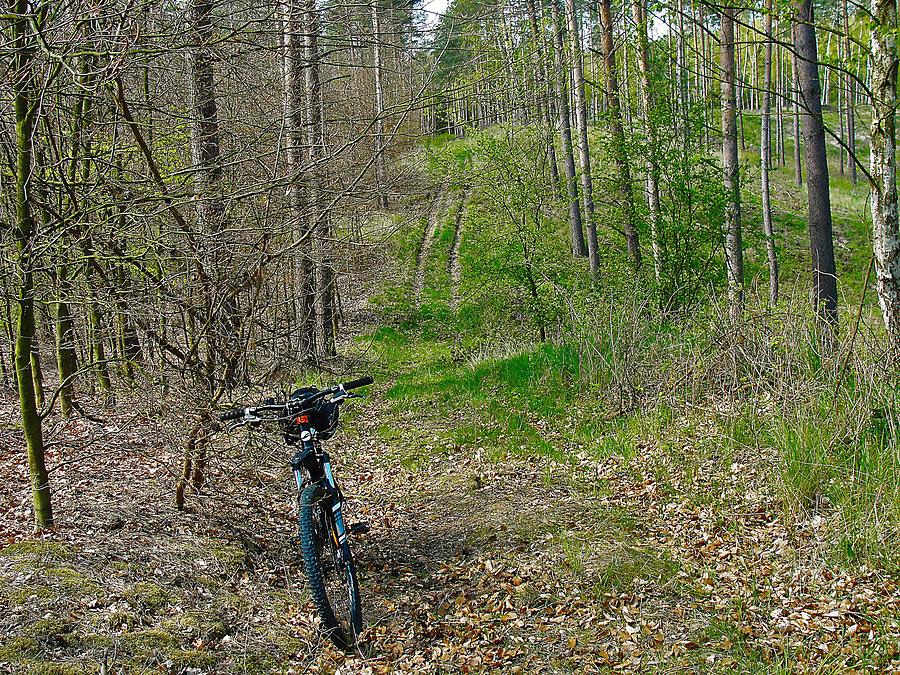 Rowerek - Tczew i jego okolice