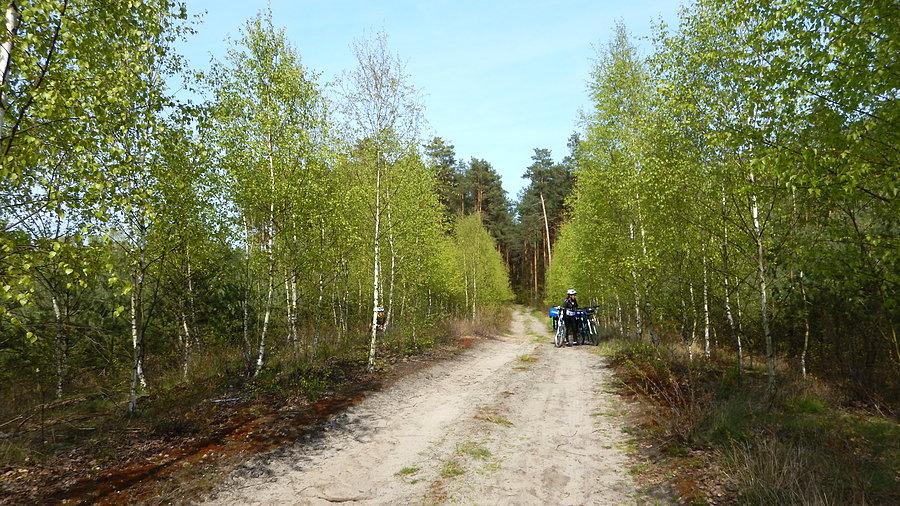 Dzień 1. Szybka sik-pauza