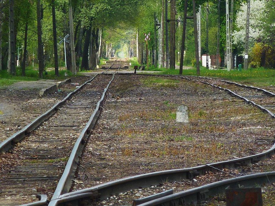 Mijanka Piaseczyńskiej Kolei Wąskotorowej w Złotokłosie