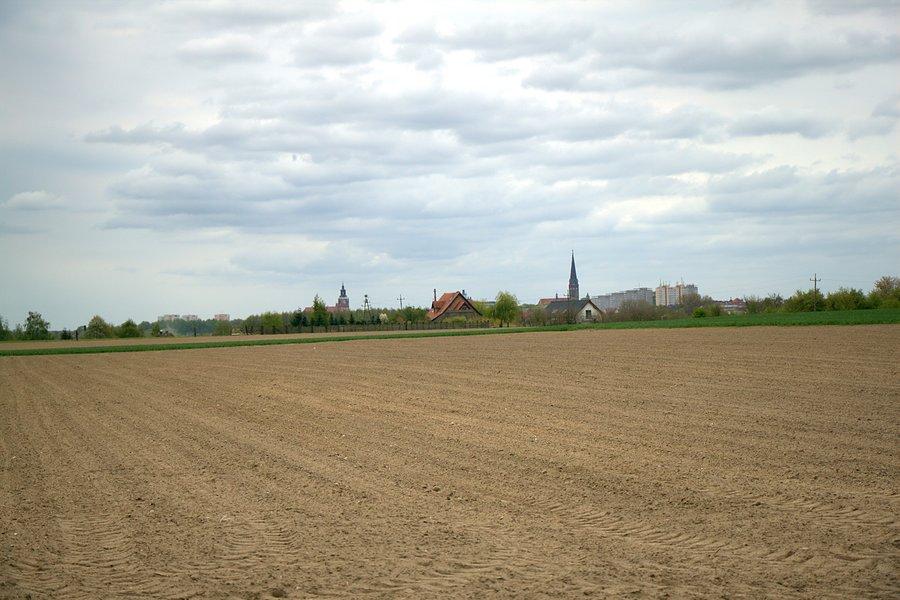 Widok na Stargard z drogi Klępino - Grabowo