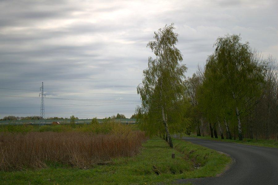 Asfalt z Miedwiecka, nie wiem kiedy położny :)