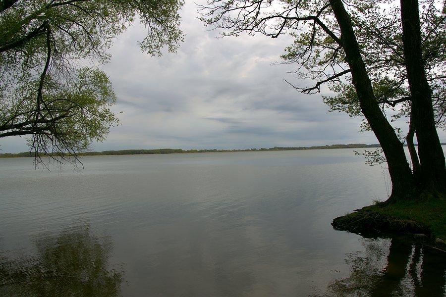 Nad Miedwiem