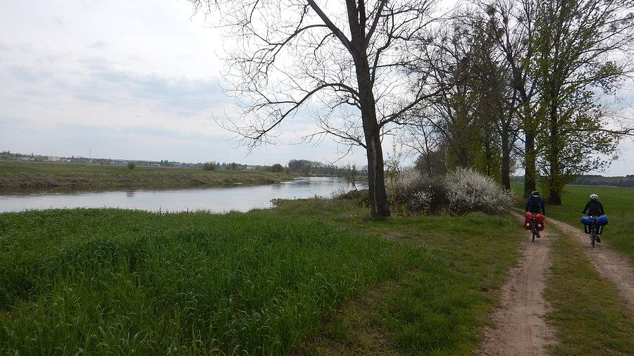 Nad Wartą, prawie w Międzychodzie