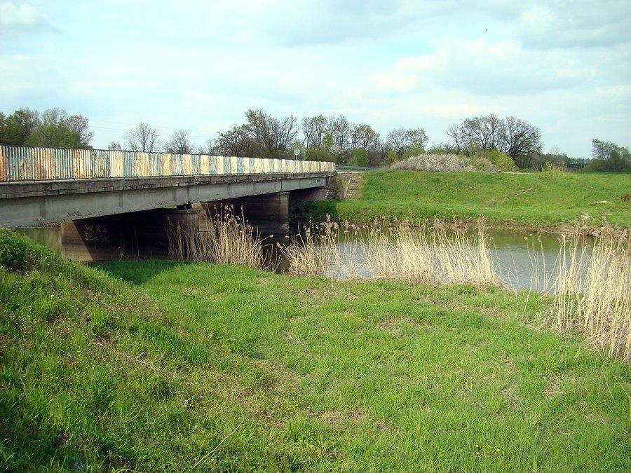 Barycz w okolicy wsi Bartodzieje