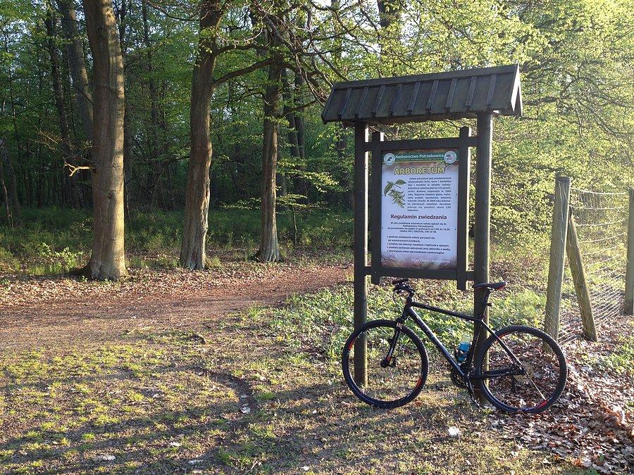 Arboretum w Potrzebowicach