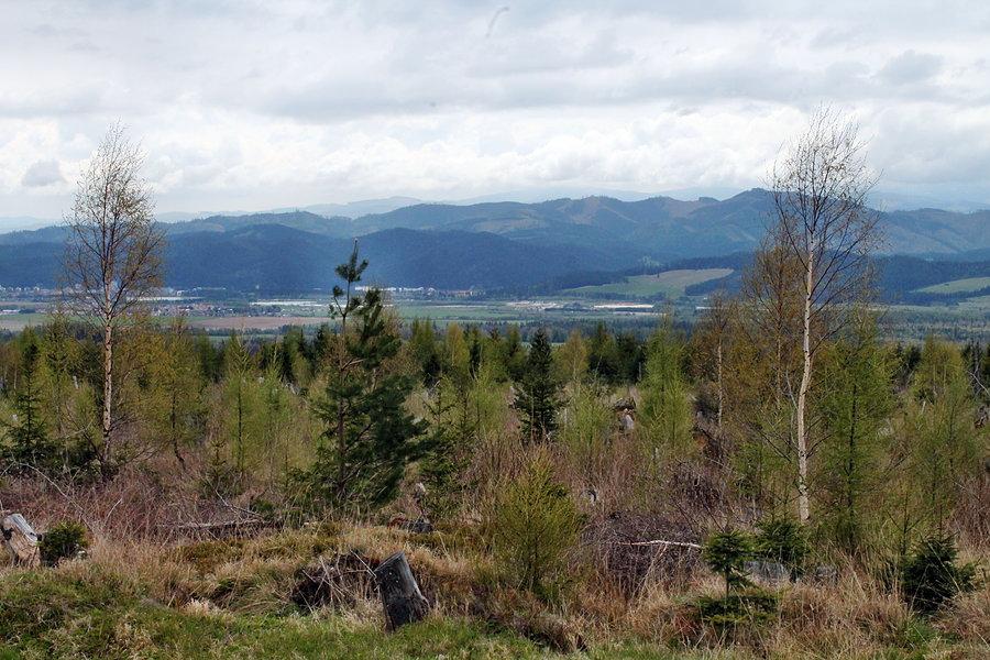 Okolice Starego Smokowca