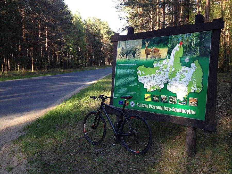 Ścieżka przyrodniczo - edykacyjna w Walkowicach