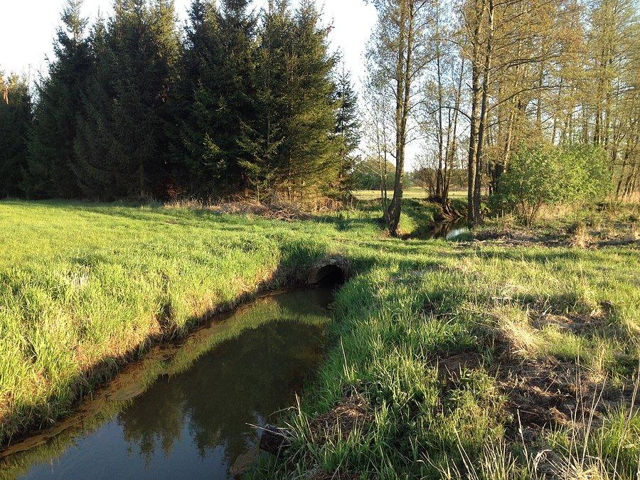 Kanały na łąkach