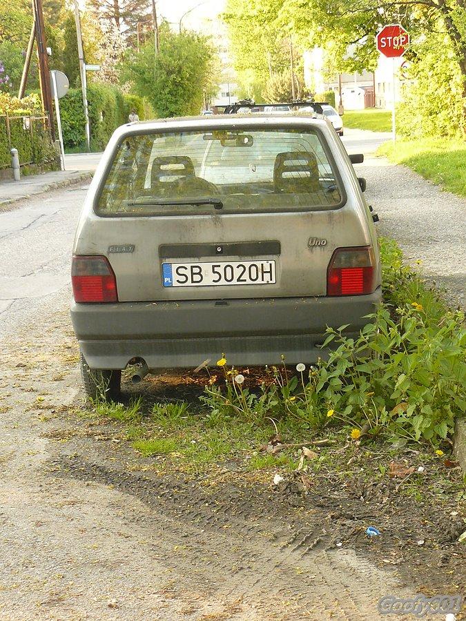 Wrak porośnięty świeżą pokrzywą i mleczem... :P