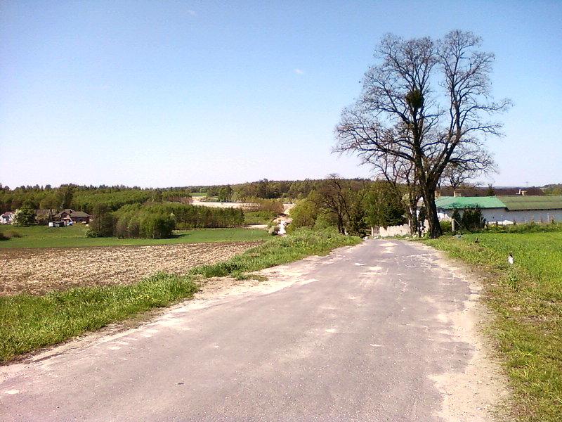 Zjazd nieopodal Moskwy