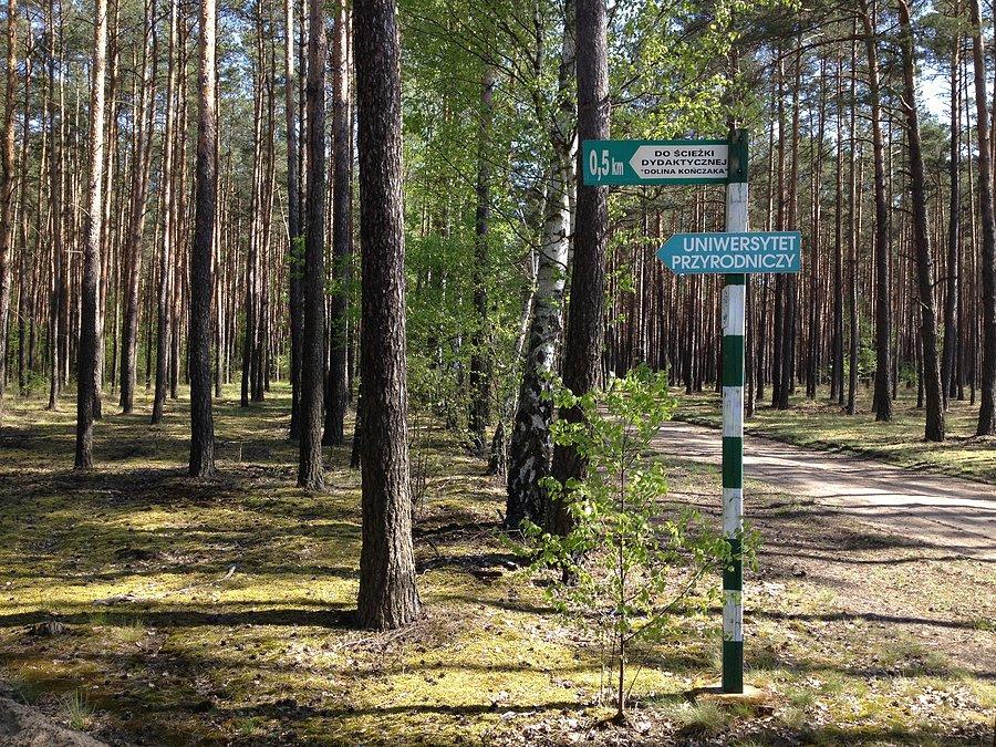 Stobnica - kierunek Dolina Kończaka