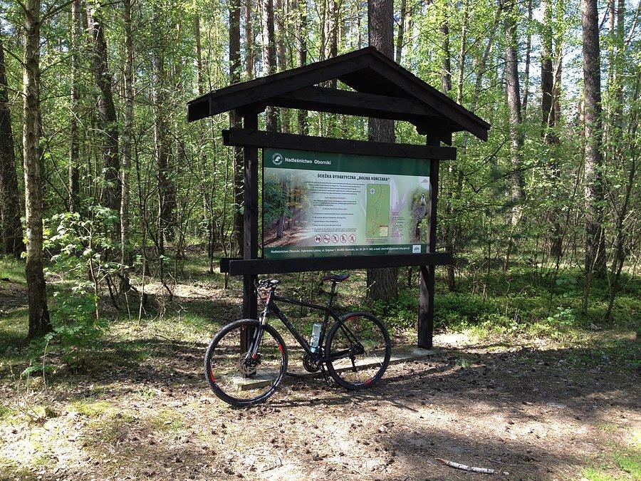 Przed tablicą - ścieżka dydaktyczna Dolina Kończaka