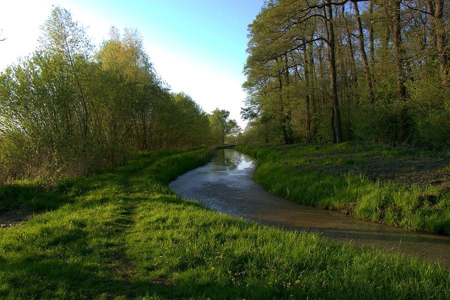Kanał nad Miedwiem