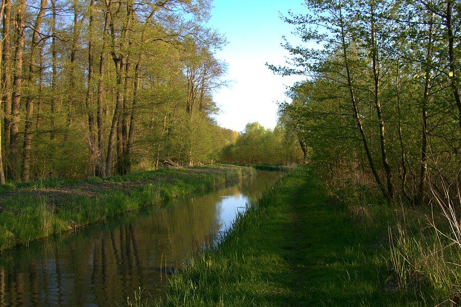 Kanał nad Miedwiem