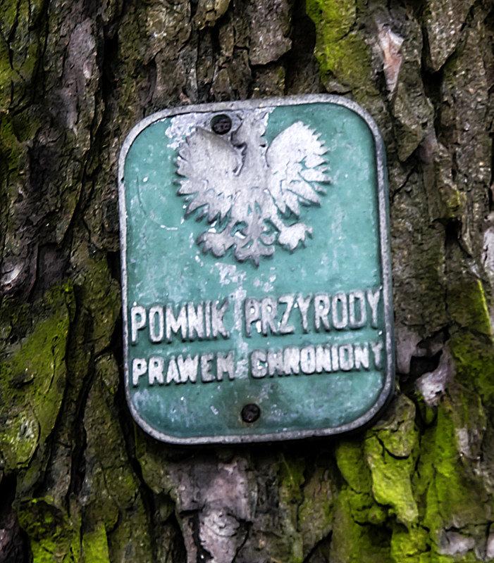 Pomnik przyrody