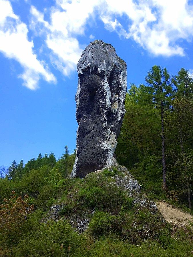 Maczuga Herkulesa