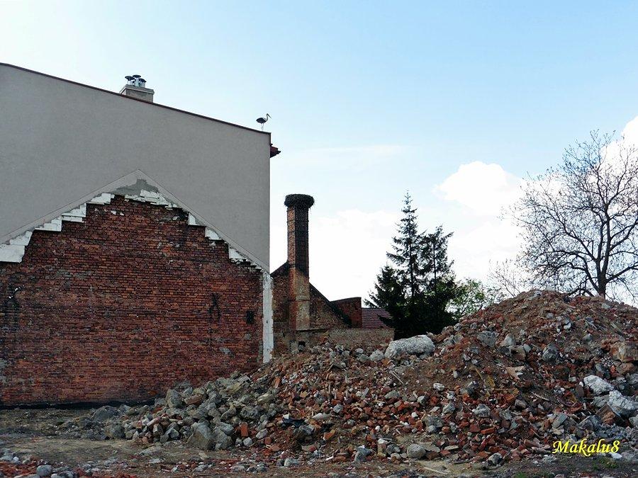 Zdziwienie po powrocie z wakacji