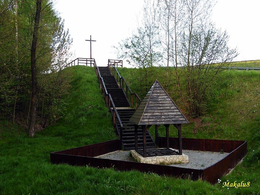 Źródło św. Sarkandra w Wieszowej