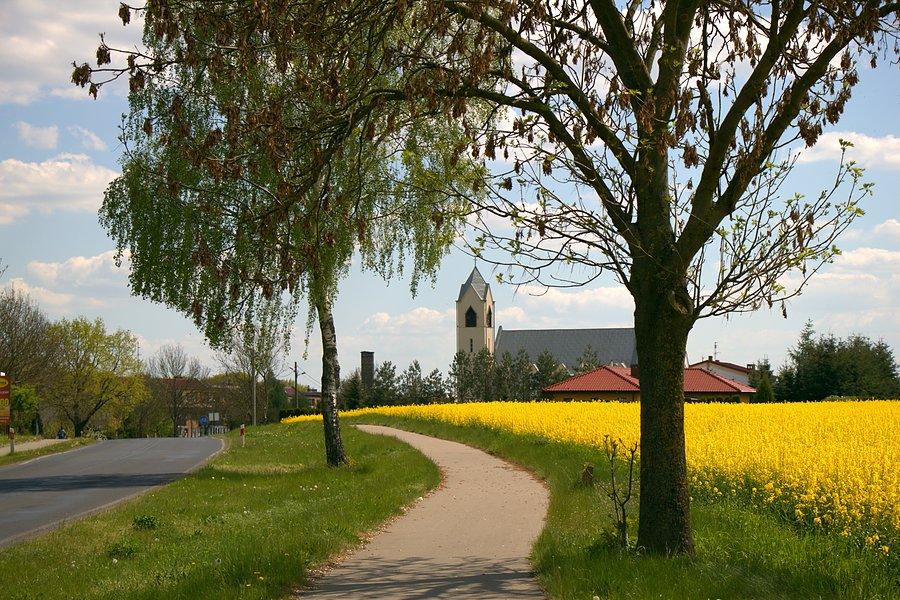 Kościół w Witkowie Pierwszym