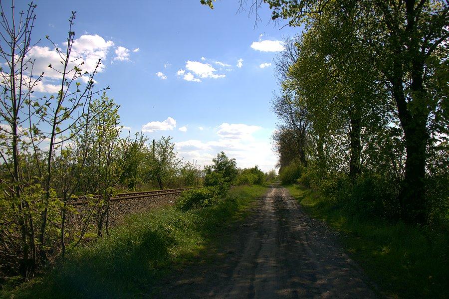 Wzdłuż torówd do przystanku Obryta