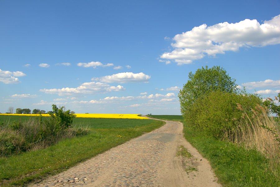 Pod górkę do Koszewa