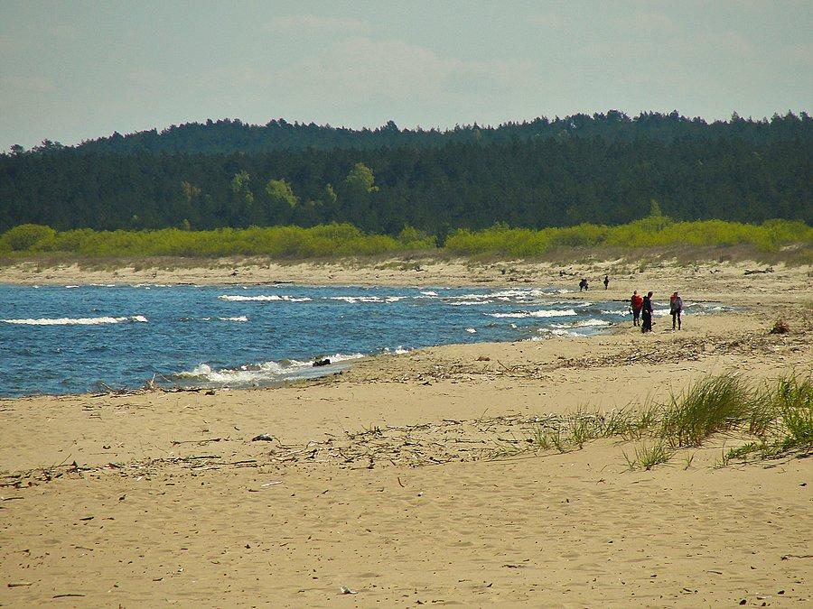 Wycieczka nad morze. Mikoszewo- plaża