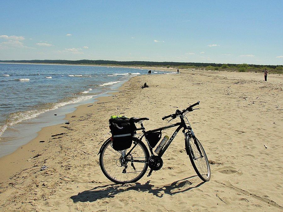 Wycieczka nad morze. Mikoszewo- plaża