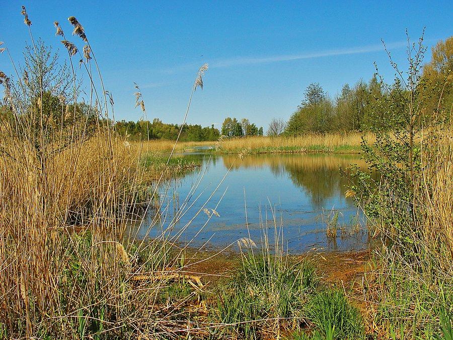 Wycieczka nad morze. Mikoszewo - na trasie