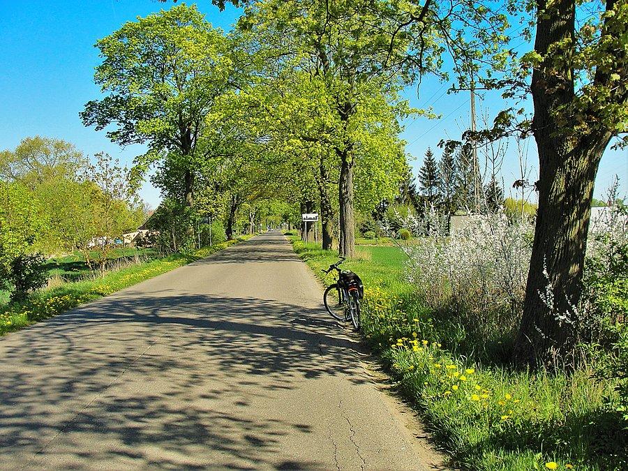 Wycieczka nad morze. Mikoszewo - na trasie