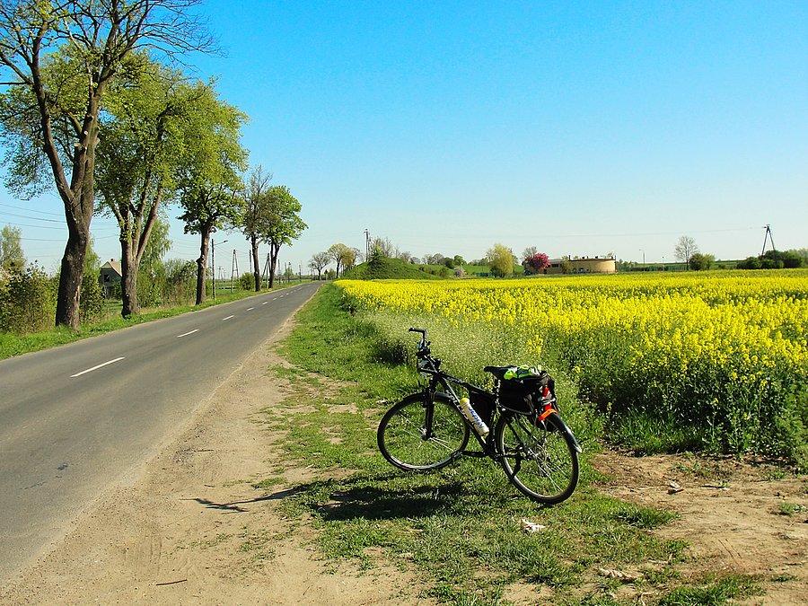 Wycieczka nad morze. Mikoszewo - na trasie