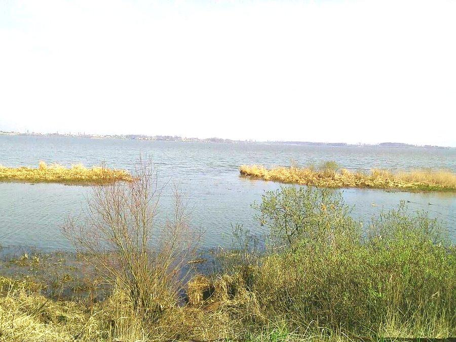 Nad jeziorem