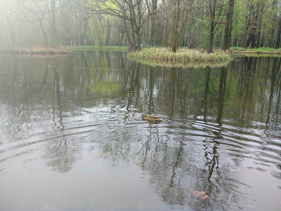 Płaz nastepny!