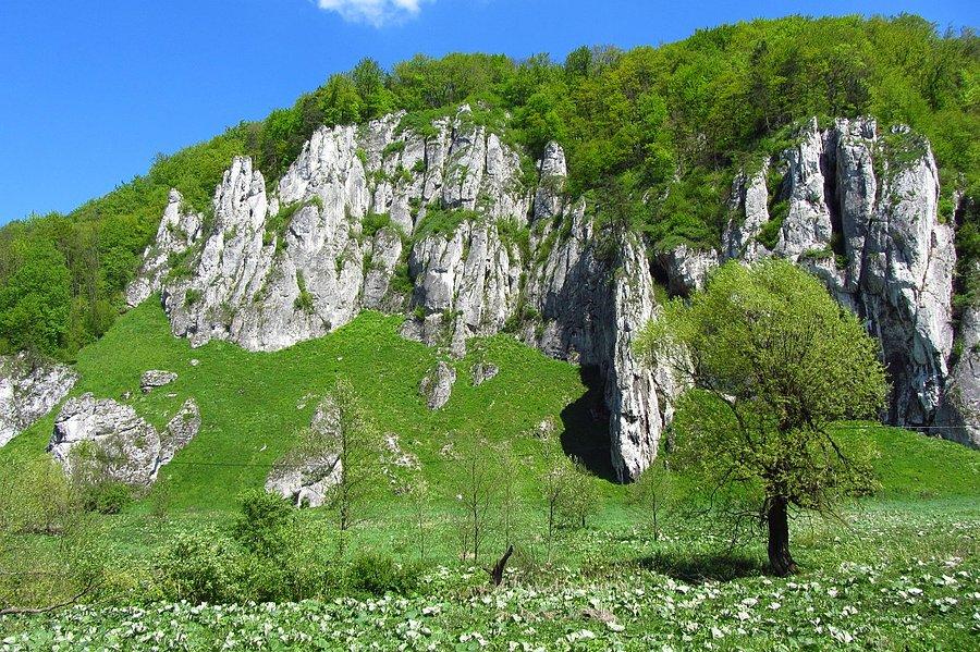 W dolinie prądnika
