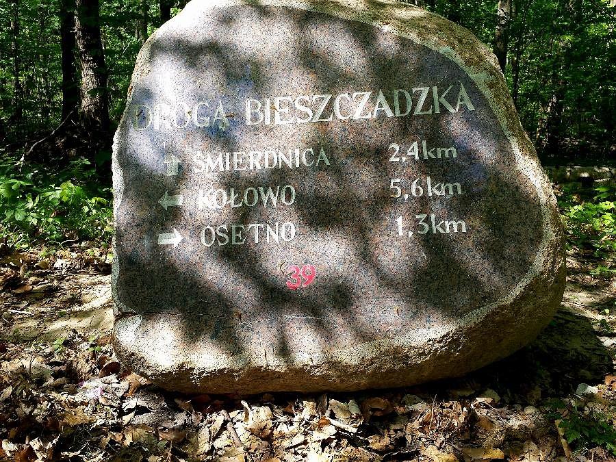 Droga Bieszczadzka