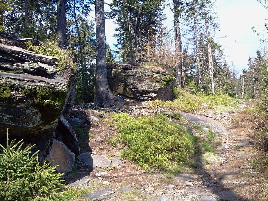 Szlak na Połom